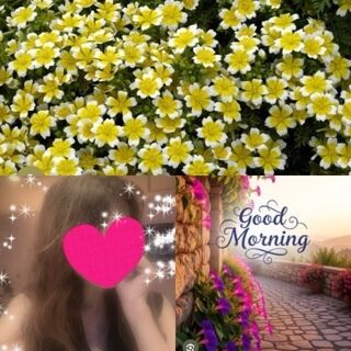 おはようございます♪