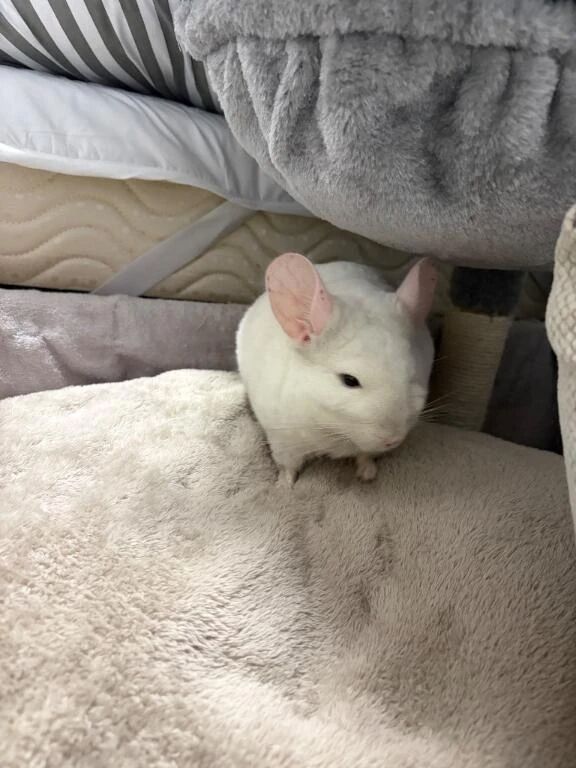 悩んでたところが…