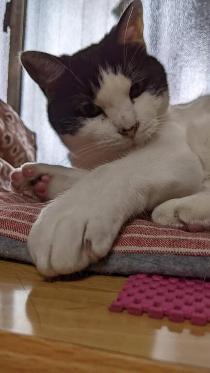 二度あることは…