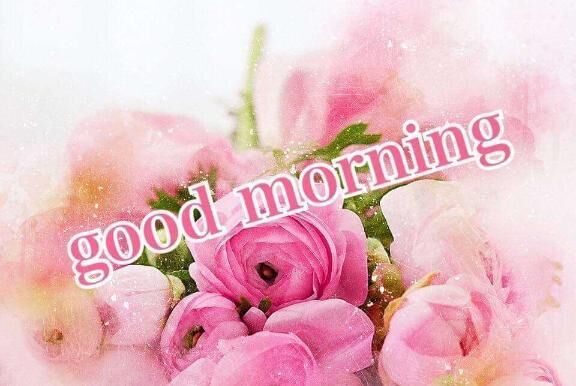 おはようございます♡