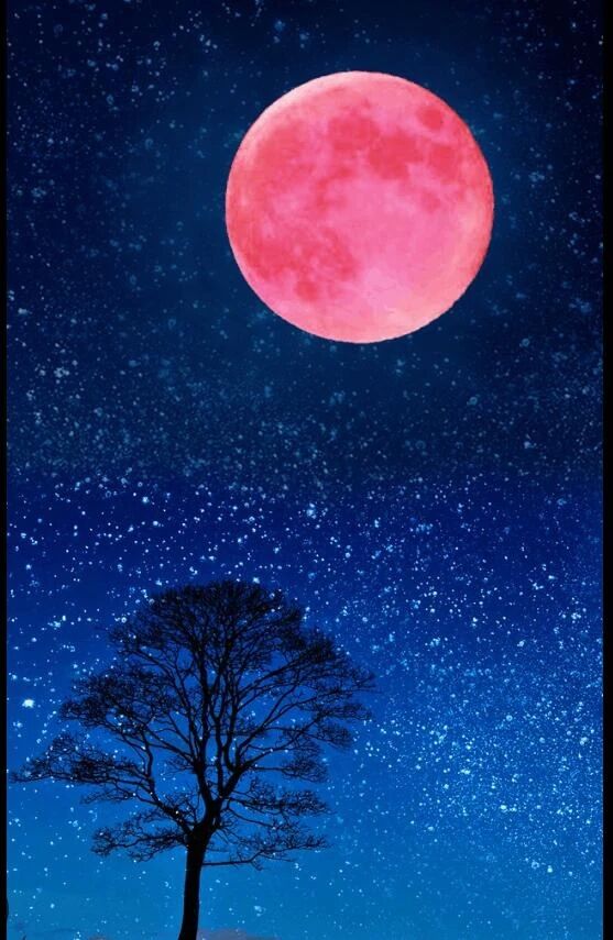 オキニトーク♡