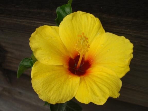 おはようございます♡