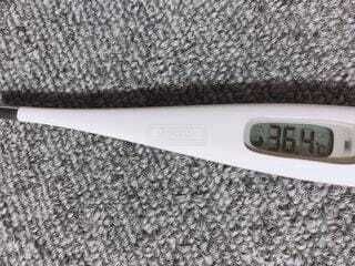 今日の体温。