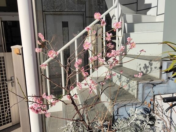 ご予約ありがとうございます☆