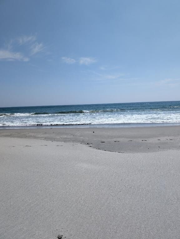 おはようございます♡♡