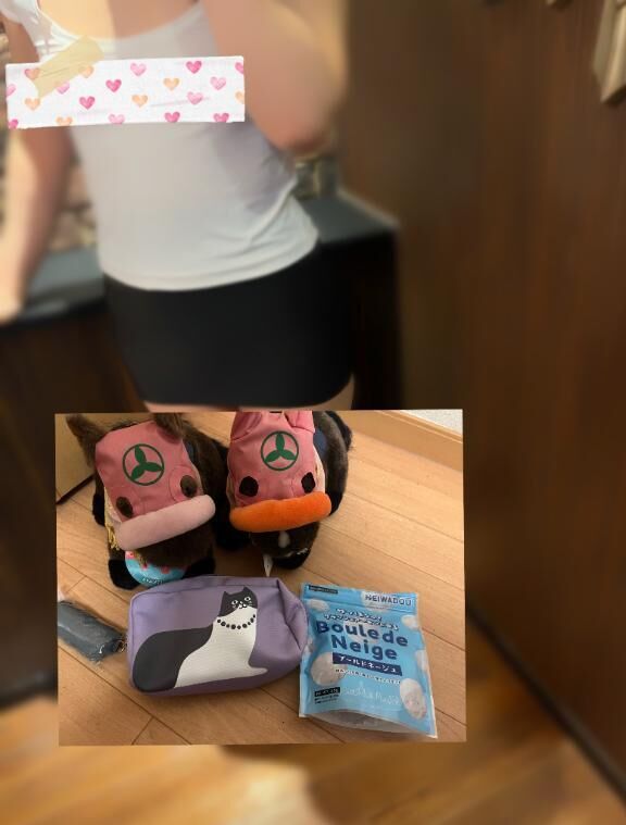 ♡山内厩舎のお馬さん♡