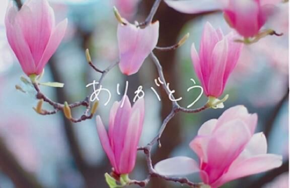 ありがとうございましタ...♡