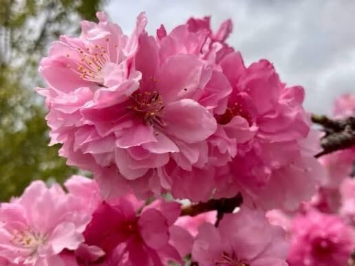 おはようございます