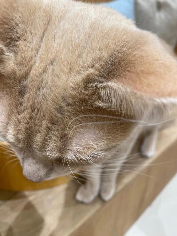 🤧🤧🤧🤧🤧🤧🤧🤧