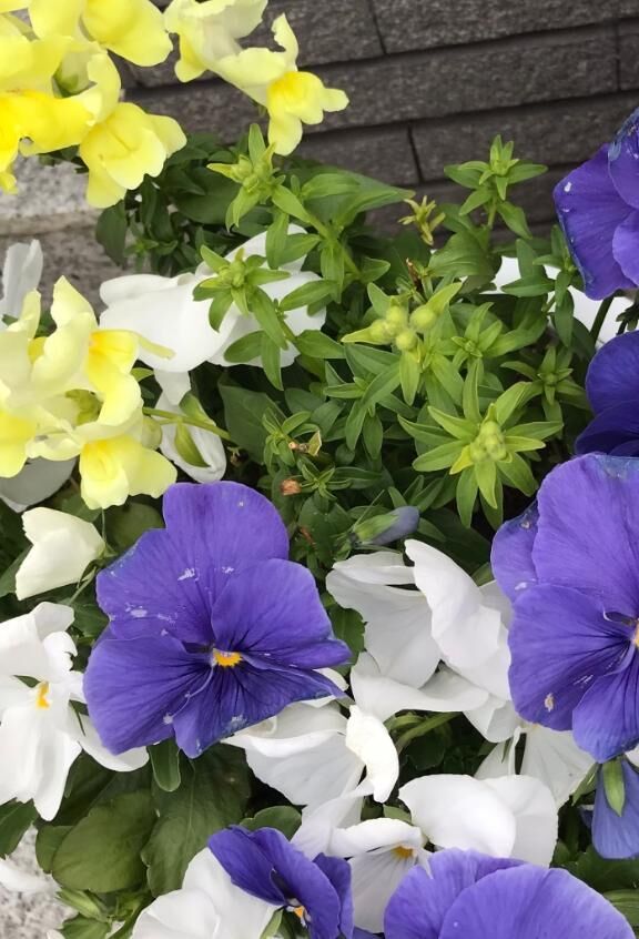 皆様、ご無沙汰しております