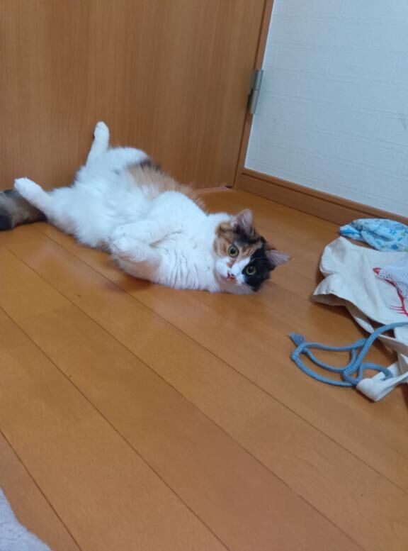 [お題]from:マックさん