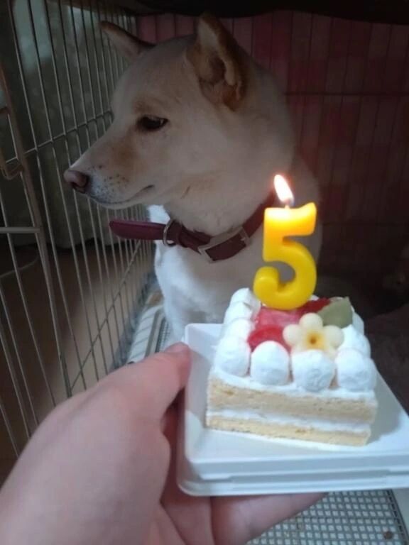 明日もいるよ♡♡