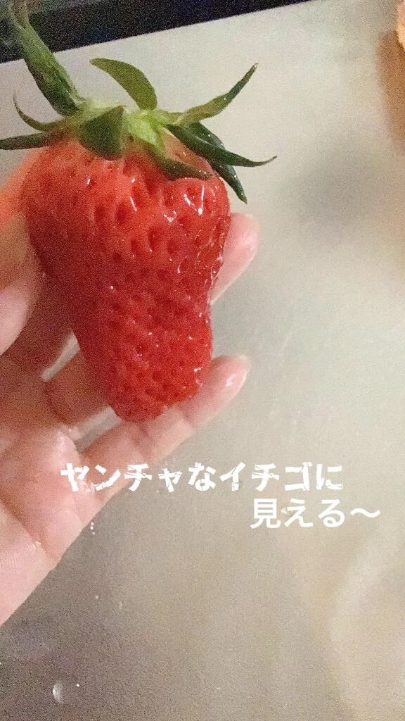 有難うございました