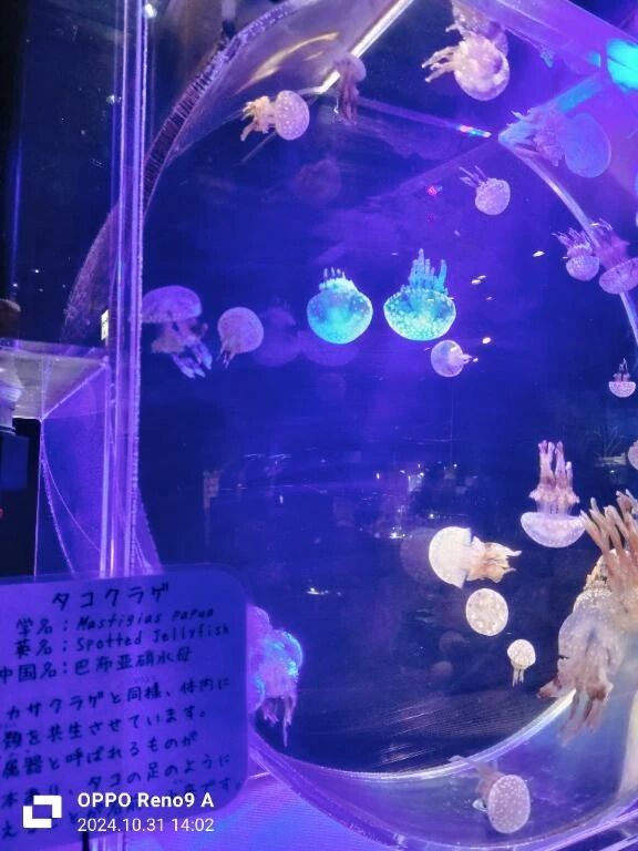 オイル○○○が好きなんです🩷