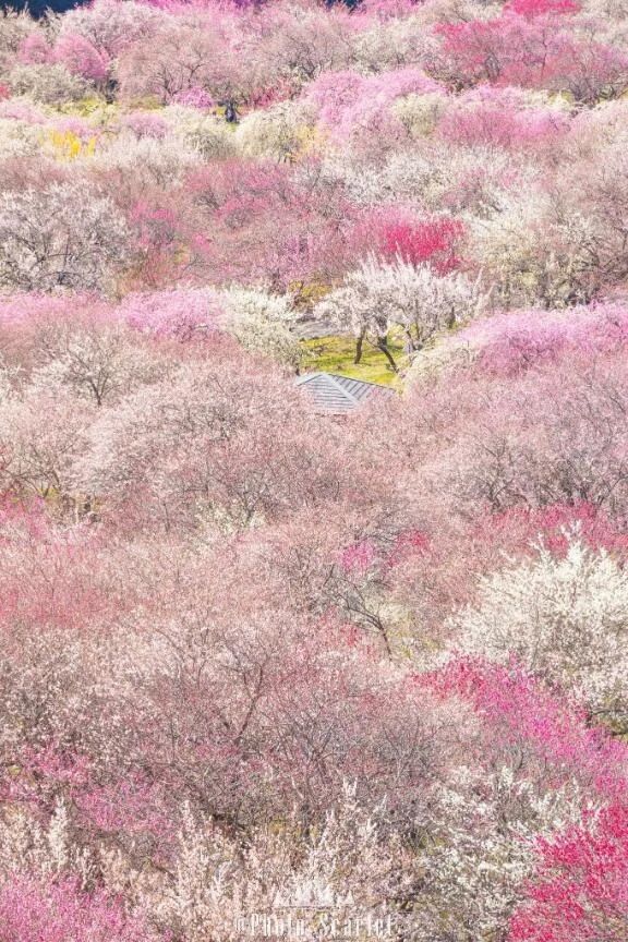 おはようございます...