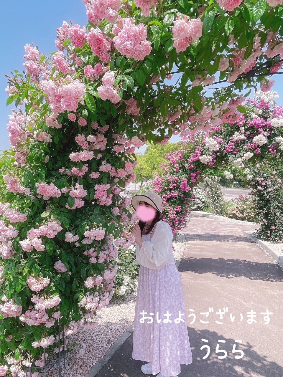 おはようございます🐔🌈