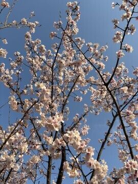 これから出勤です♪