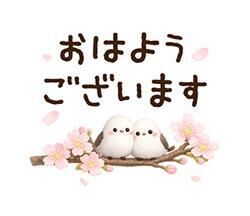 💖ご予約完売💖