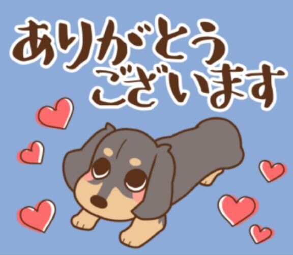 P指様、ありがとう