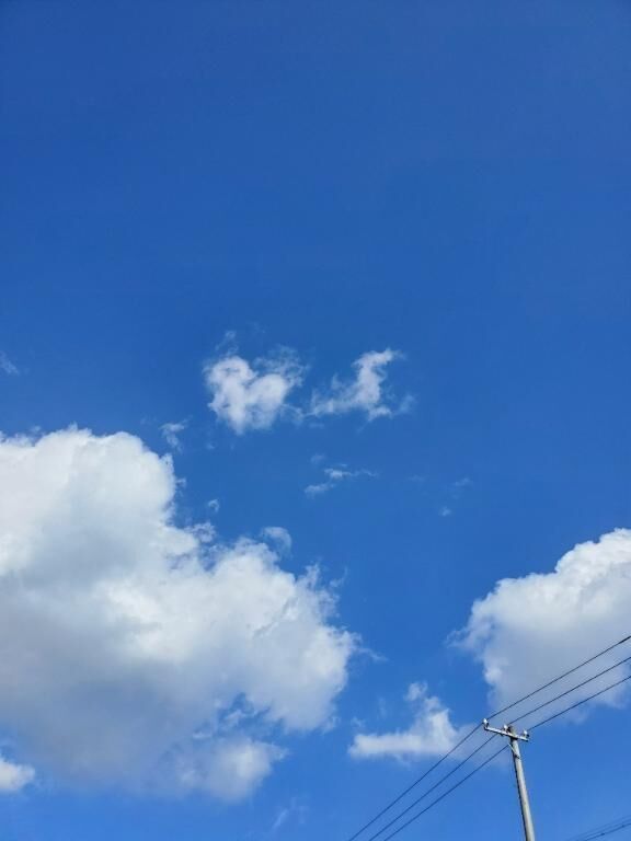 こんにちは♡♡