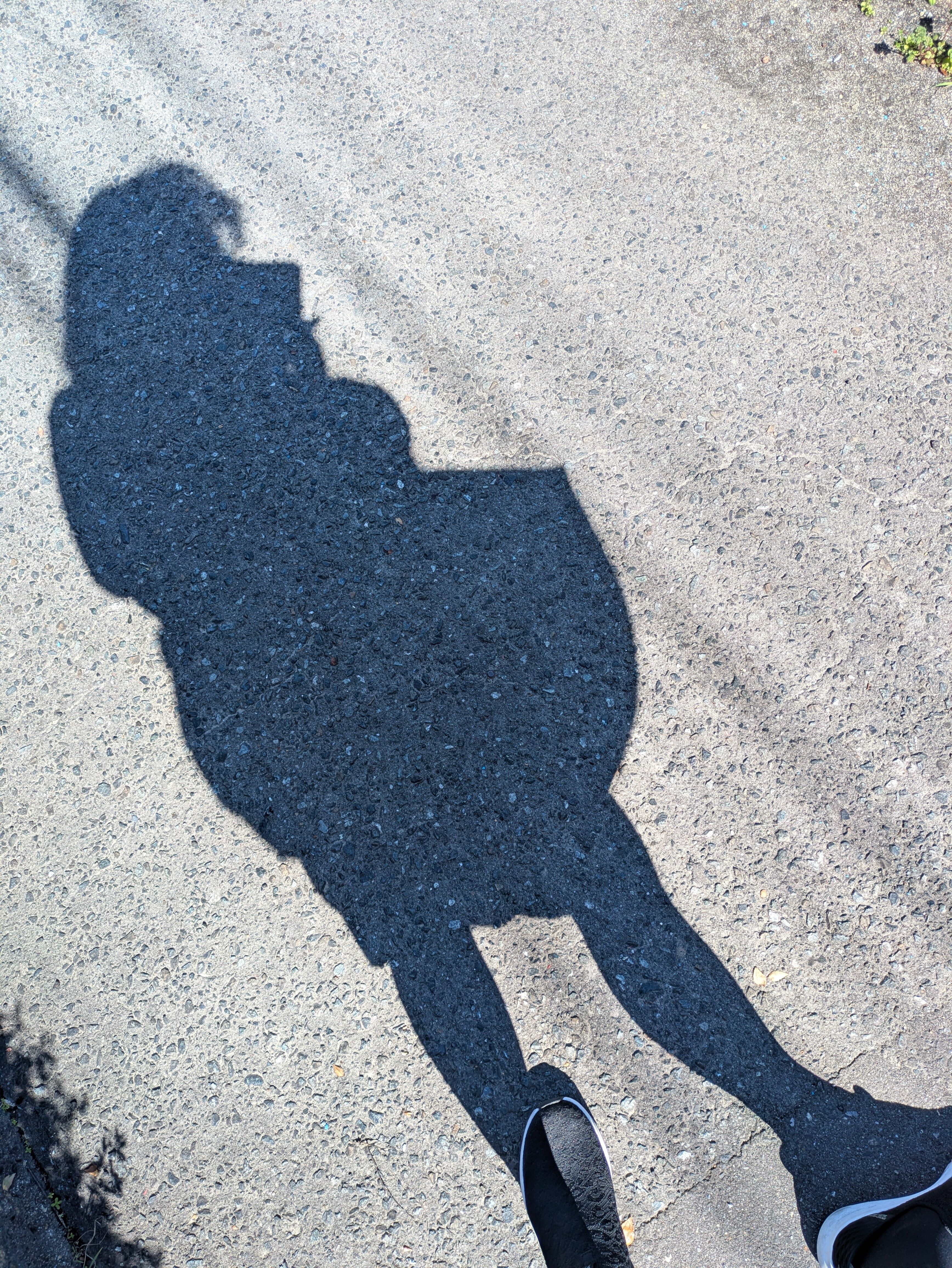 強風！（写メ）シルエット