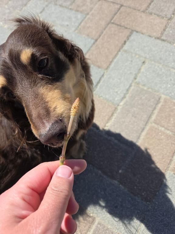 寒いけど春の気配
