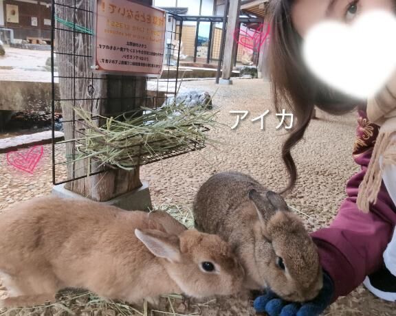 3/3といえば？♡