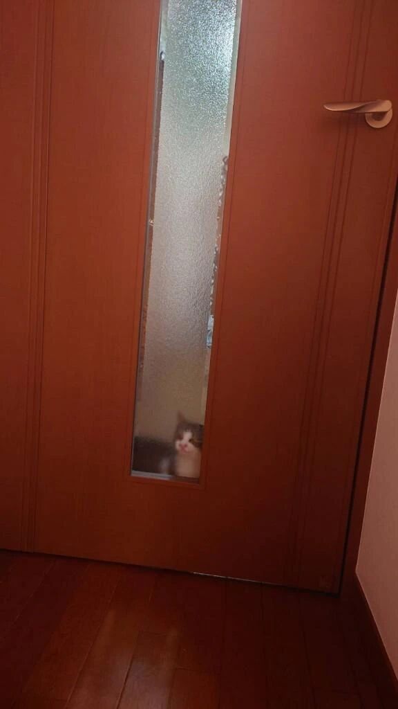 あたちもいれてー💦