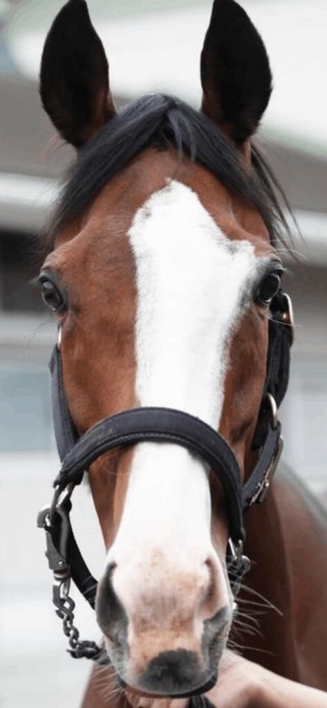 メロたん♡おめでとう♡