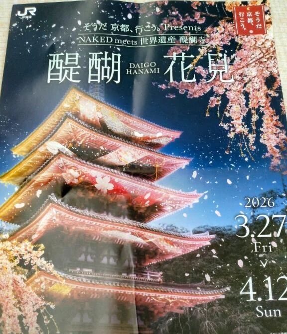 夜桜ライトアップ