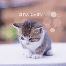 今日はお休みになりました