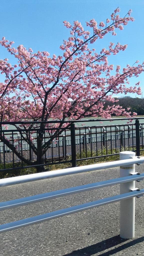 おはようございます♡