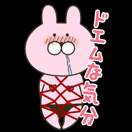 こんにちは(*´♡`*)ﾉ