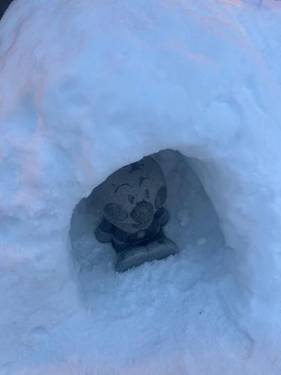 お久しぶりですっ