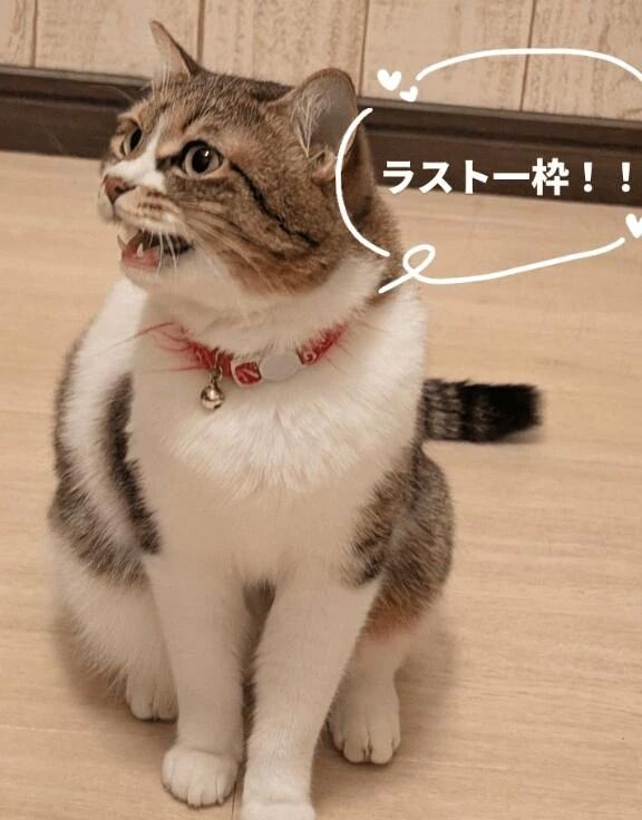 🈳ラスト一枠!!