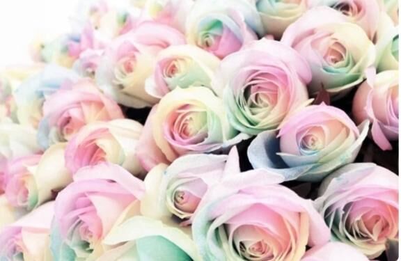 心理テストしてみた♡