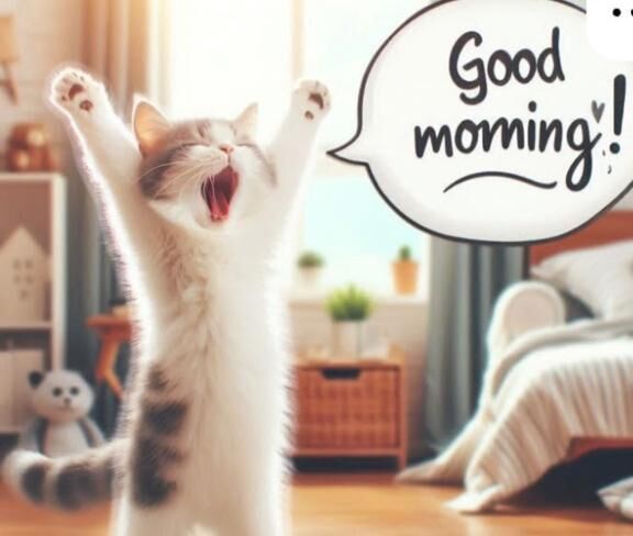 本日出勤いたします⭐