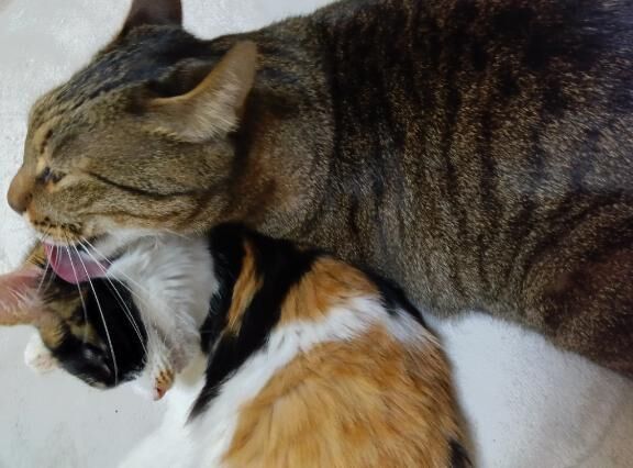 おはようございます