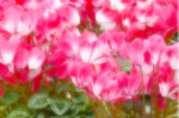 from:二人で競馬場行きたいさん