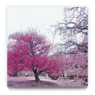 ありがとうございました