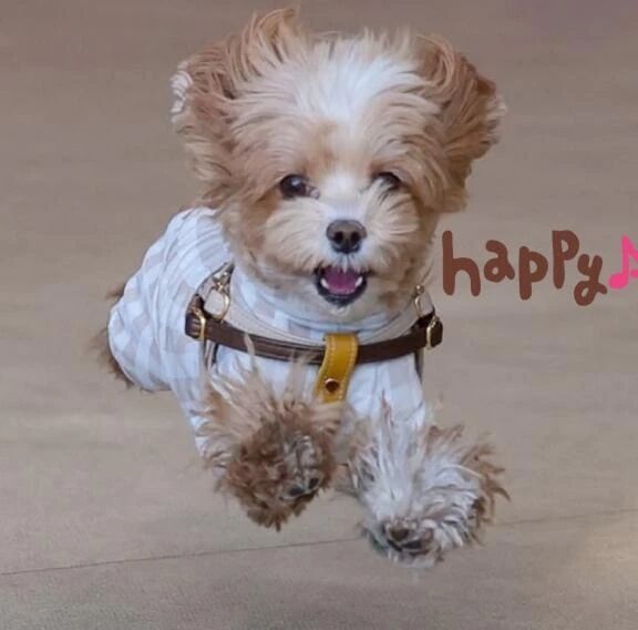 向かってま〜す☆♪