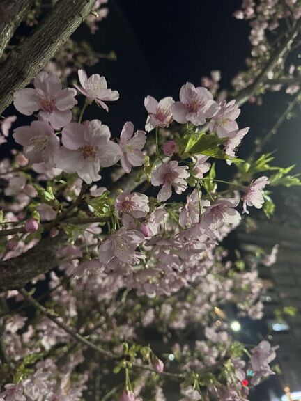 ご予約いただいていたおにいさま