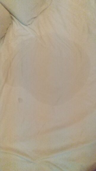 ありがとうございます