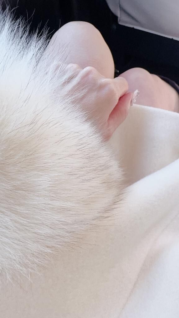 そんなことしませんよ