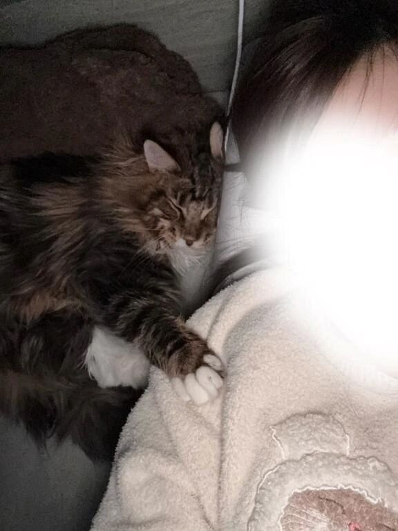 今日少しだけ出勤します！