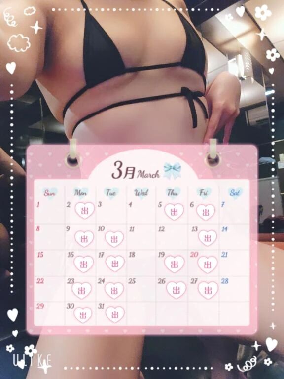 今月はこんな感じの予定🐱