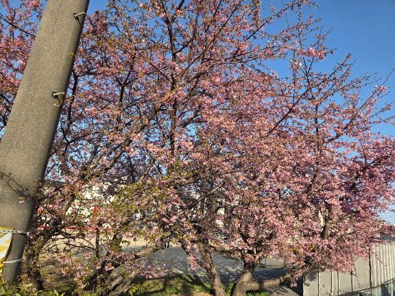 [お題]from:いつもありがとうさん