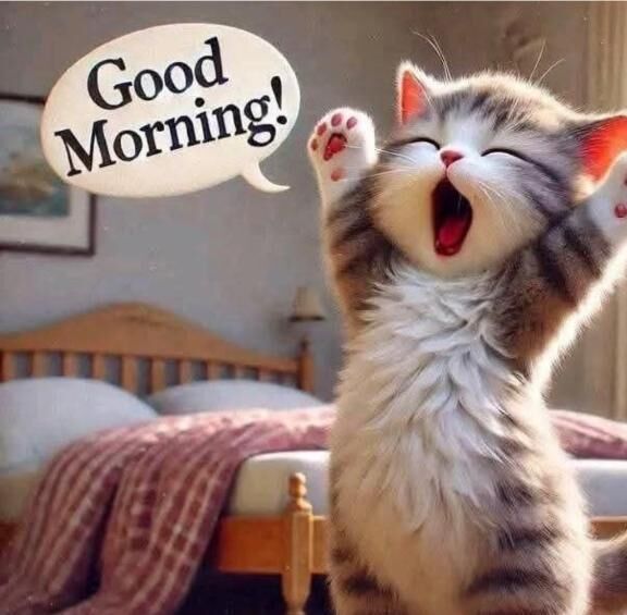 本日出勤です♪♪