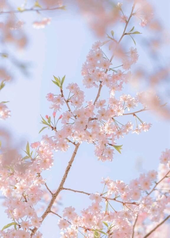 🗓️週末の予定🩵✨