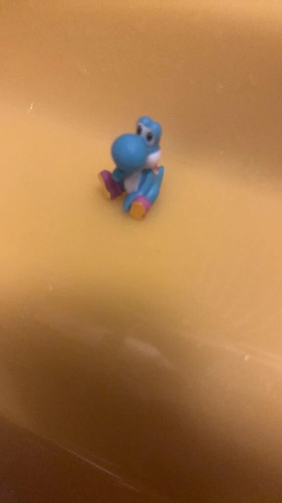 💚ヨッシー日記②🥚